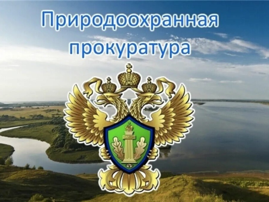 Саратовская межрайонная природоохранная прокуратура разъясняет изменения, внесенные в природоохранное законодательство.